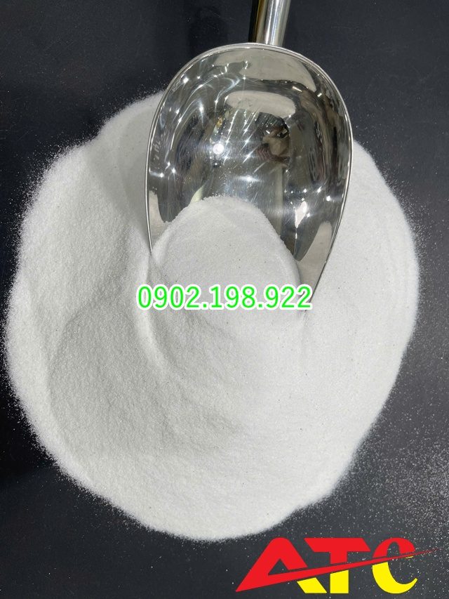 cat-trang-trang-tri-tet-giai-phap-lam-sang-san-vuon-bon-cay-loi-di-ngay-tet