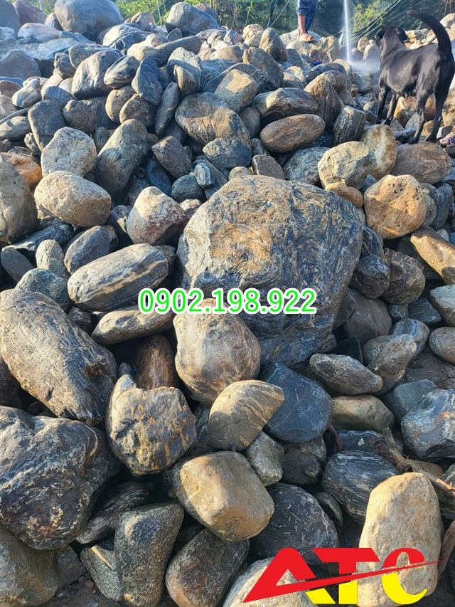 da-cuoi-van-may-lua-chon-hoan-hao-cho-canh-quan-hien-dai-va-thien-dinh