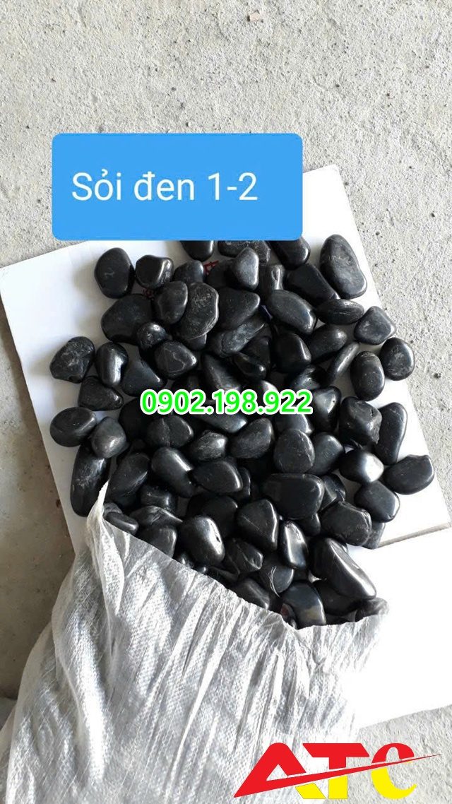 Soi-den-bong-trong-canh-quan