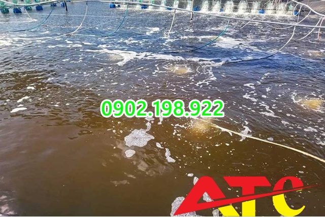 ung-dung-cua-dolomite-trong-xu-ly-nuoc-ao-nuoi-hieu-qua