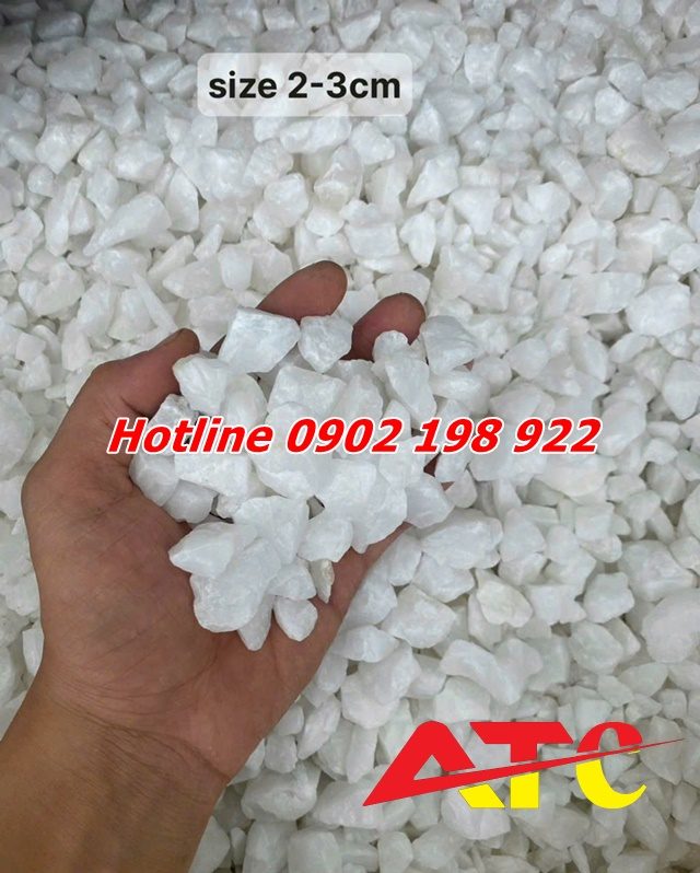 bao-gia-soi-trang-tri-moi-nhat-hom-nay-cap-nhat-tai-xuong