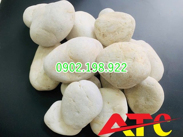 bao-gia-soi-trang-tri-moi-nhat-hom-nay-cap-nhat-tai-xuong