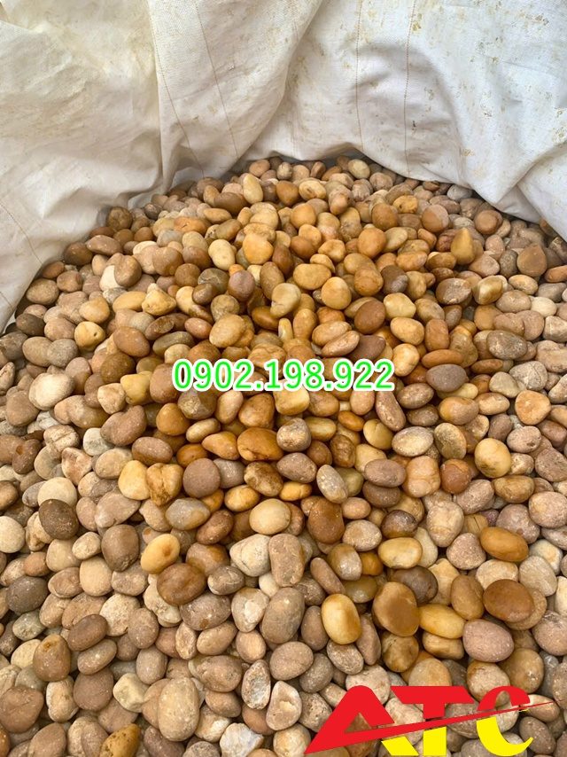 bao-gia-soi-trang-tri-moi-nhat-hom-nay-cap-nhat-tai-xuong