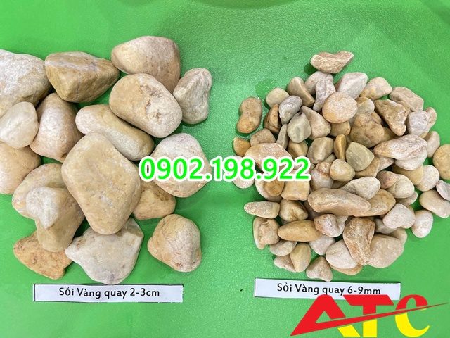 soi-vang-quay-va-ung-dung-noi-bat-trong-canh-quan-san-vuon