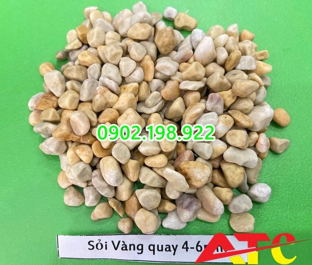 soi-vang-quay-va-ung-dung-noi-bat-trong-canh-quan-san-vuon