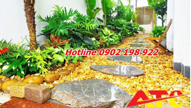 cach-bao-duong-soi-va-da-cuoi-luon-sach-dep